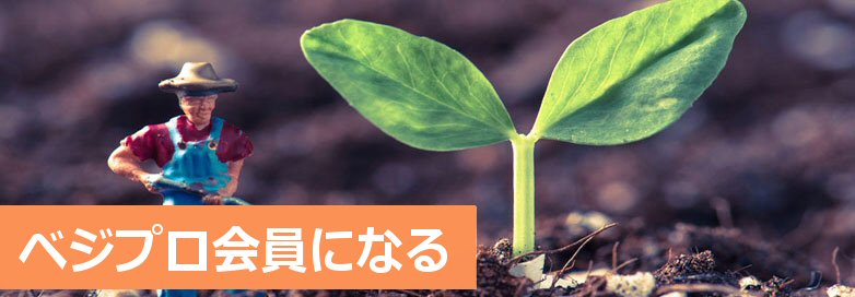 参加する